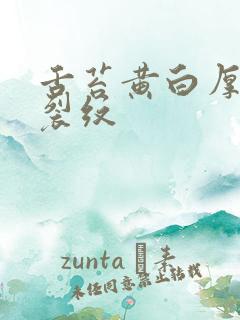 舌苔黄白厚腻有裂纹