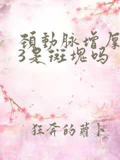 颈动脉增厚1.3是斑块吗