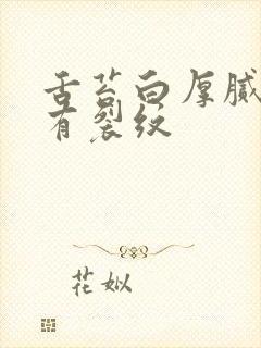 舌苔白厚腻中间有裂纹