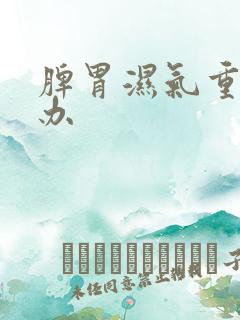 脾胃湿气重怎样办