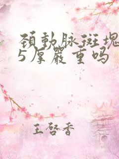 颈动脉斑块1.5厚严重吗