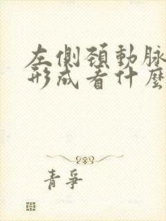 左侧颈动脉斑块形成看什么科