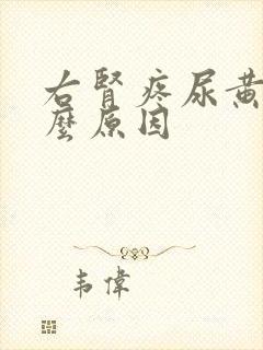 右肾疼尿黄是什么原因