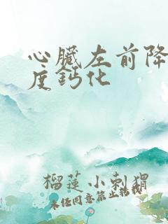 心脏左前降支轻度钙化