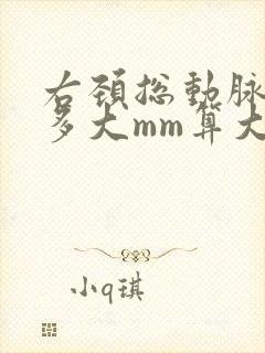 右颈总动脉斑块多大mm算大