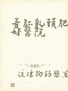 看肛乳头肥大的好医院