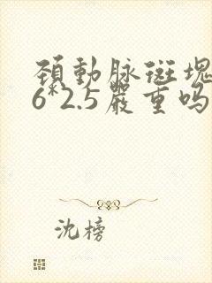 颈动脉斑块9.6*2.5严重吗