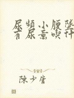 尿频小腹坠胀总有尿意吃什么药