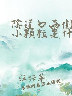 阴道口两侧很多小颗粒是什么原因