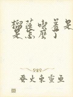 榴莲吃着是苦的是怎么了