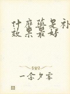 什么药是补肾的效果最好