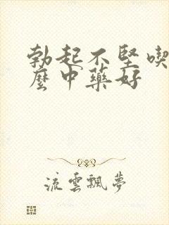 勃起不坚吃些什么中药好