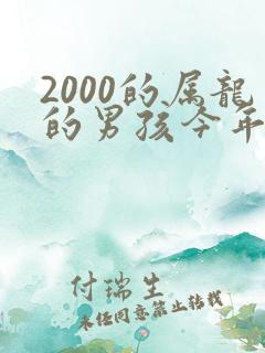 2000的属龙的男孩今年的运气