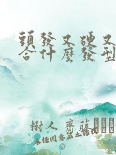 头发又硬又粗适合什么发型