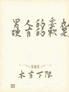 男人的睾丸有的硬有的软是怎么回事