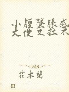 小腹坠胀感觉想大便又拉不出来