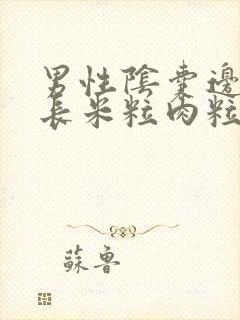 男性阴囊边上张长米粒肉粒