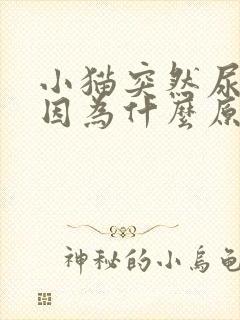 小猫突然尿床是因为什么原因