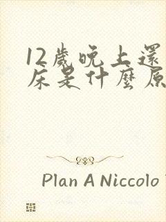 12岁晚上还尿床是什么原因