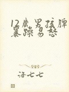 12岁男孩脾气暴躁易怒