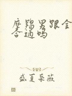 摩羯男跟金牛女合适吗