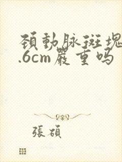 颈动脉斑块厚2.6cm严重吗