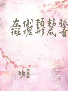 左侧颈动脉粥样斑块形成看什么科