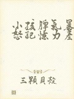 小孩脾气暴躁易怒记忆力差