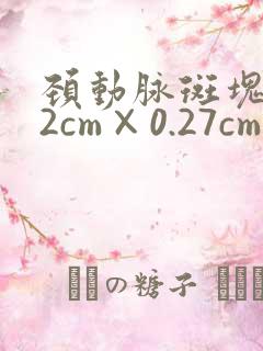 颈动脉斑块1.2cm×0.27cm严重吗?