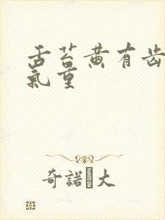 舌苔黄有齿痕湿气重