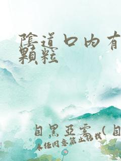 阴道口内有好多颗粒