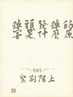 掉头发掉的很历害是什么原因