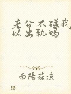 老公不碰我我可以出轨吗