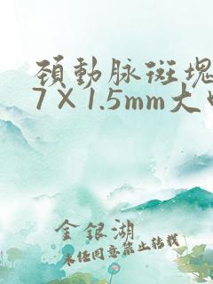 颈动脉斑块3.7×1.5mm大吗