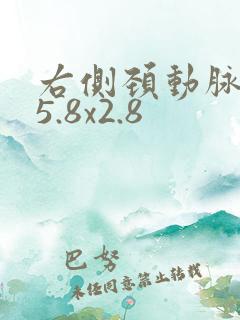 右侧颈动脉斑块5.8x2.8