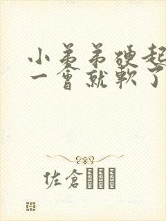 小弟弟硬起来没一会就软了