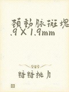 颈动脉斑块10.9×1.9mm