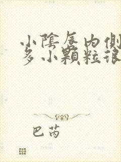 小阴唇内侧有很多小颗粒很痒