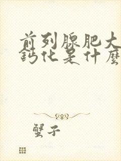 前列腺肥大伴有钙化是什么意思啊