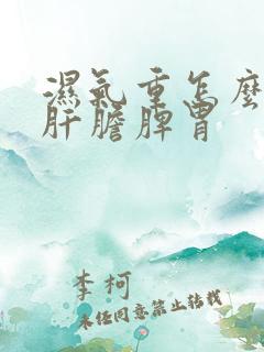 湿气重怎么调理肝胆脾胃