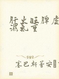 肝火旺脾虚胃寒湿气重