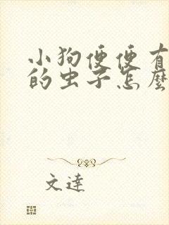 小狗便便有白色的虫子怎么办