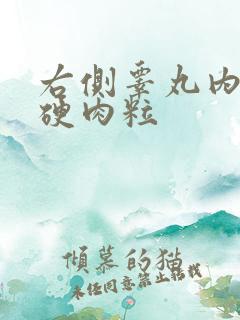 右侧睾丸内有个硬肉粒