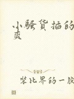 小骚货插的爽不爽