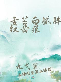 舌苔白腻胖大裂纹齿痕