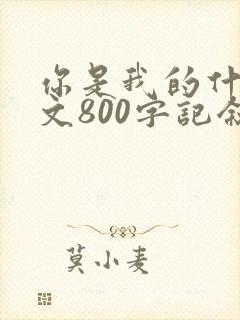 你是我的什么作文800字记叙文初中