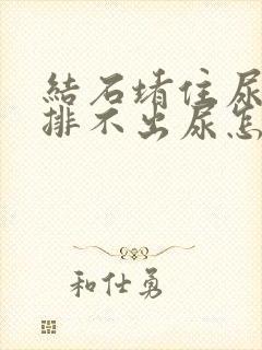 结石堵住尿道口排不出尿怎么办