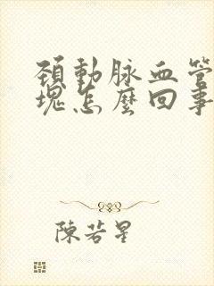 颈动脉血管有斑块怎么回事