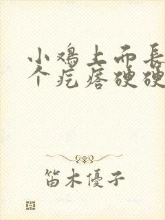 小鸡上面长了一个疙瘩硬硬的