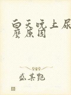 白天晚上尿频什么原因